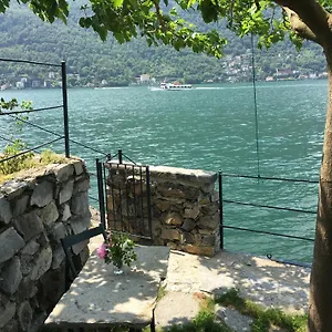 Castagna Nesso